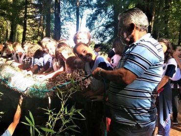 Instaladas as primeiras ecobarreiras no Horto Florestal
