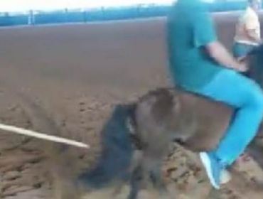AVARÉ: CRUELDADE NA EMAPA REVOLTA E JÁ CAUSA SUSPEITAS