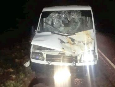 Animal na pista provoca acidente próximo a Avaré envolvendo três veículos