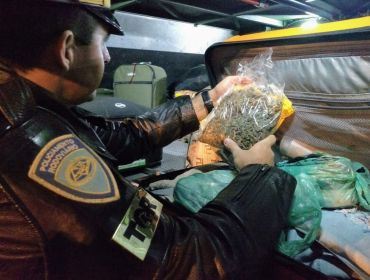Passageiro de ônibus é preso após polícia achar skunk escondido em embalagem de cookies em Avaré