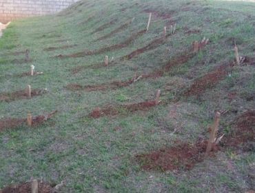 AVARÉ: PARCERIA CRIA HORTA ORGÂNICA EM UNIDADE DE ENSINO INFANTIL
