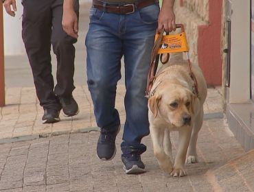 Deficiente visual é o primeiro de Itapetininga a receber cão-guia: 'Me sinto enxergando'