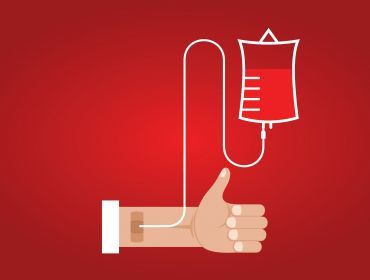 Faculdade Eduvale promoverá Doação de Sangue e Cãominhada em Avaré
