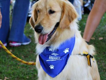 Medicina Veterinária e Zootecnia Eduvale promovem a 2a Cãominhada