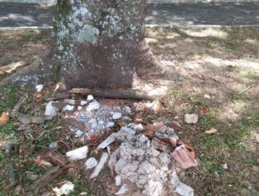 Falta de cidadania: descartes no parque da CAIC