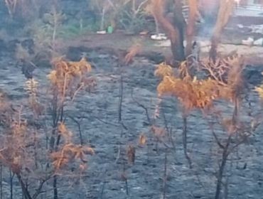 QUEIMADAS EM MATA VEM INCOMODANDO MORADORES DO PORTO MIRAMAR EM AVARÉ