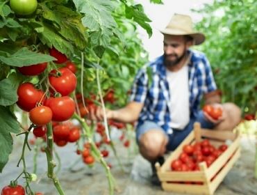 Projeto “Jovem Agricultor do Futuro” está com inscrições abertas