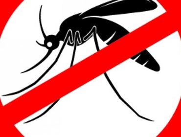 Prevenir-se é a melhor maneira de combater a dengue