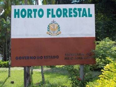 III Corrida Ecológica acontece nas trilhas do Horto Florestal