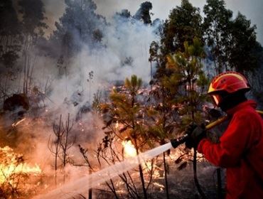 FALTA DE CHUVA AUMENTA INCÊNDIOS EM MATAS