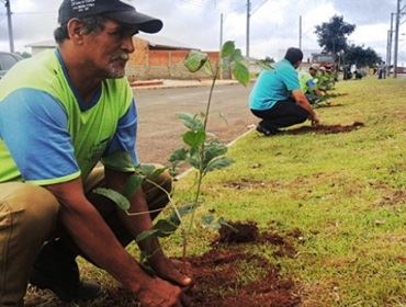 Prefeitura realiza plantio de 120 árvores