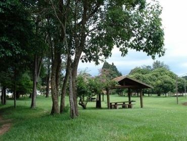 Voluntários limpam lago do Horto Florestal de Avaré/SP