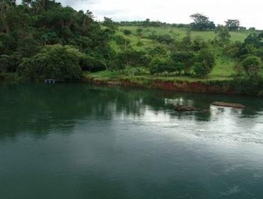 Águas do Jurumirim recebem 80 mil peixes