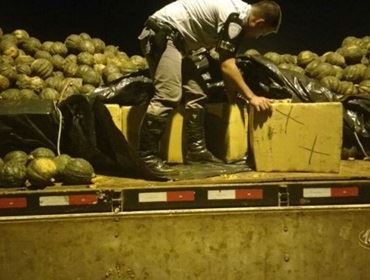 Tático Rodoviario apreende 1,3 tonelada de maconha e 2,4 mil comprimidos de ecstasy