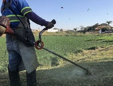 PREFEITURA INICIA LIMPEZA EM LAGO PARA COMBATER PROLIFERAÇÃO DE PERNILONGOS