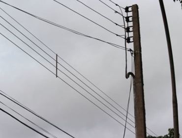Câmara aprova lei que estabelece cuidados com fios dos postes