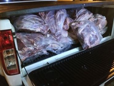 Quase 400 kg de carne inapropriada para consumo são apreendidas em transporte irregular em Avaré