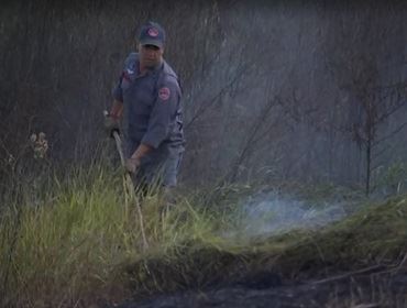 Bombeiros registram mais de 20 queimadas nas últimas 24 horas na região de Itapetininga