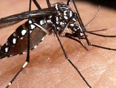 Bairro do Camargo receberá ação de combate à Dengue 