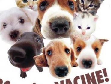 Zona Rural recebe campanha  contra a Raiva Animal  