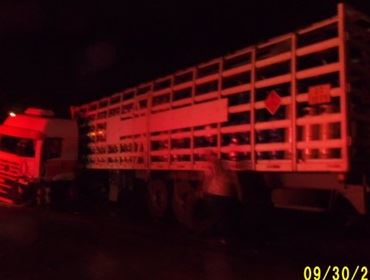   Cinco colisões de traseira na Raposo Tavares ontem sem vítimas.