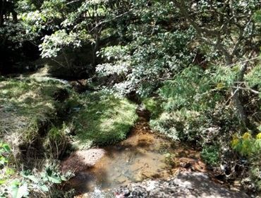 Limpeza do Ribeirão Lageado