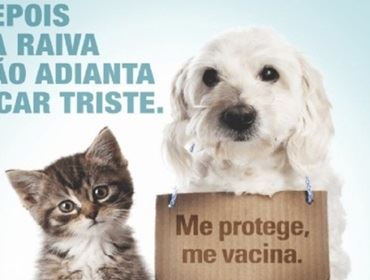 Vigilância Sanitária realizará Campanha de Vacinação Antirrábica