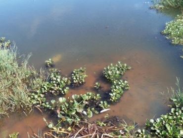  Mesmo sendo proibido pescar no Lago Berta Banwart ? Brabancia, pessoas continuam desrespeitando.
