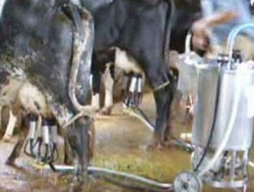 Encontro estadual de produtores de leite foi realizado em Avaré