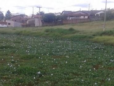 Recuperação do Lago Bertha Bannwart começa na próxima semana