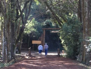 CORRIDA ECOLÓGICA NO HORTO FLORESTAL DE AVARÉ