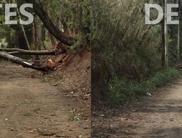 Prefeitura de São Manuel age rápido após temporal