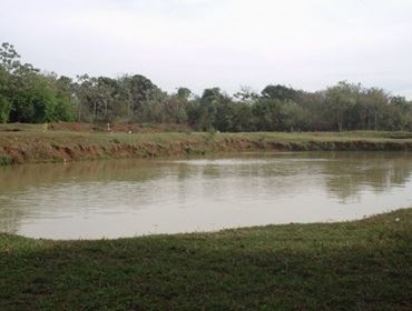 Fazenda Água do Bugre denuncia Sabesp na Cetesb
