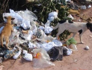 Moradores das imediações do Campo do S. Paulo estão descontentes com a coleta de lixo.