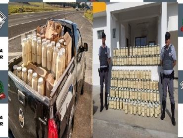 POLÍCIA MILITAR RODOVIÁRIA APREENDE CARGA COM 334 Kg DE PALMITO JUSSARA