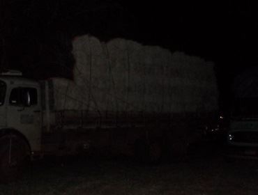 CRIADORES DE QUARTO DE MILHA PROMETEM INTERDITAR RODOVIA NOVAMENTE.