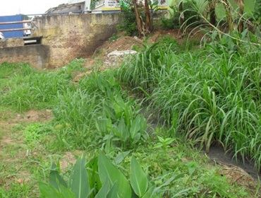 ESGOTO DA SABESP AO AR LIVRE- MORADORES EM DESESPERO