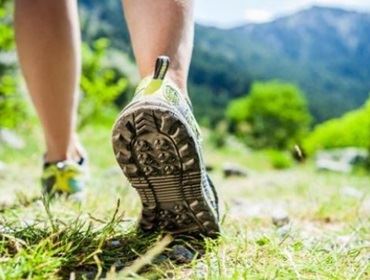 SEME promove corrida e caminhada Horto Florestal