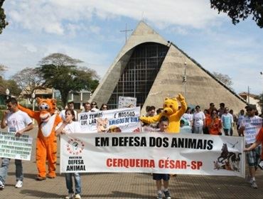 SETENTA PESSOAS FORAM AS RUAS EM CERQUEIRA CESAR DOMINGO ÚLTIMO