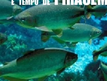 Estamos no período da Piracema