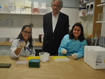 ALECRIM UMA ESPERANÇA CONTRA INFARTOS - UNESP
